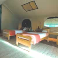 Serengeti Wilderness Camp C
