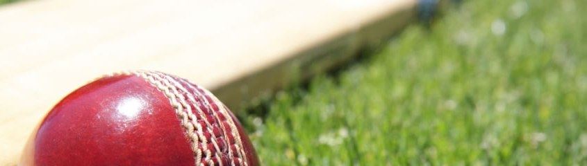 Cricket Tour South Africa Cricket Tour Cape Town Cricket Safari Tours