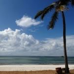 Family Safari And Beach Kenya Family Safari Kenya Masai Mara Mombasa South North Coast All Inclusive Family Hotel