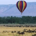 Safari Masai Mara Kenya Serengeti Tanzania Safari Kenya Tanzania Ngorongoro Mount Kenya Holiday Vacation Tour