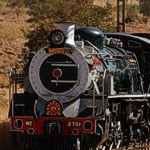 Rovos Rail Golf Train South Africa Kruger National Park Garden Route Cape Town South Africa Rovos Golf Train