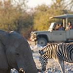 Safari Holidays Namibia Safari Holidays Namibia Safari Namibia Tours Namibia Vacations Namibia Safari Holiday