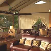 Migration Camp N
