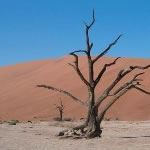 Namibia Overland Tour Namibia Caprivi Botswana Victoria Falls Botswana Overland Safari Tours Holidays Namibia