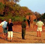 Walking Safari Zambia Walking Safari South Luangwa National Park Walking Safari Holiday Vacation Victoria Fall