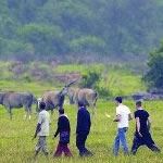Bushcamps Zambia Walking Safari Bushcamps Zambia Bush Camps South Luangwa Walking Safari Holiday Vacation Tour