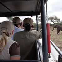 Serengeti Wilderness Camp C
