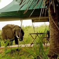 Lake Manze Camp