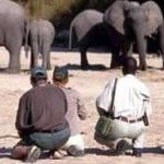 Kruger National Park Walking Safari Cape Town Walking Safari Holiday Vacation Climb Table Mountain South Africa