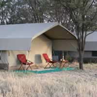 Serengeti Wilderness Camp C