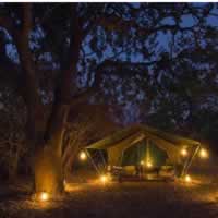 Luangwa Bush Camp