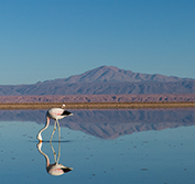 Chile Holidays Tailor Made Atacama Lake District Chiloe Patagonia Valparaiso