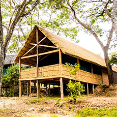 Dzalanyama Forest Lodge