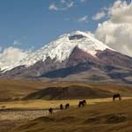 Private Tours Ecuador Quito Amazon Avenue of Volcanoes Cuenca Guide