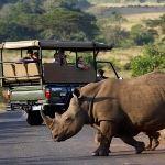 Zimbabwe Safari Holiday Hwange Game Reserve Victoria Falls Zambezi