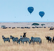 African Kenya Private Safari Tours Tailor Made Masai Mara Amboseli Mombasa