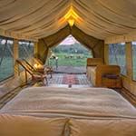 Serengeti Under Canvas