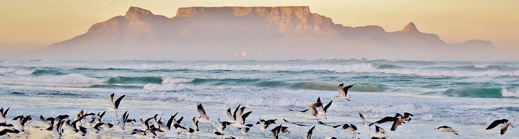 Holidays to Cape Town Tours Safaris in South Africa Stellenbosch Hermanus