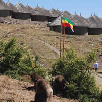 Simien Lodge