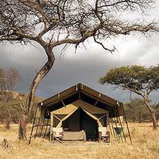 Kati Kati, Serengeti