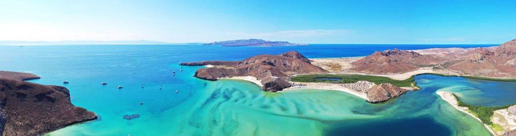 Mexico Holidays In Baja California Dolphins Whale Watching