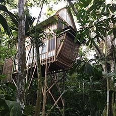 Calanoa Jungle Lodge