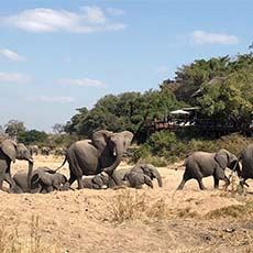 Jocks Lodge KNP