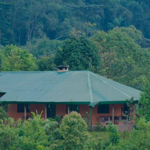 Gorilla Valley Lodge
