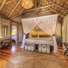 Dinaka Safari Lodge