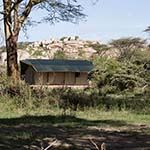 Porini Cheetah Camp