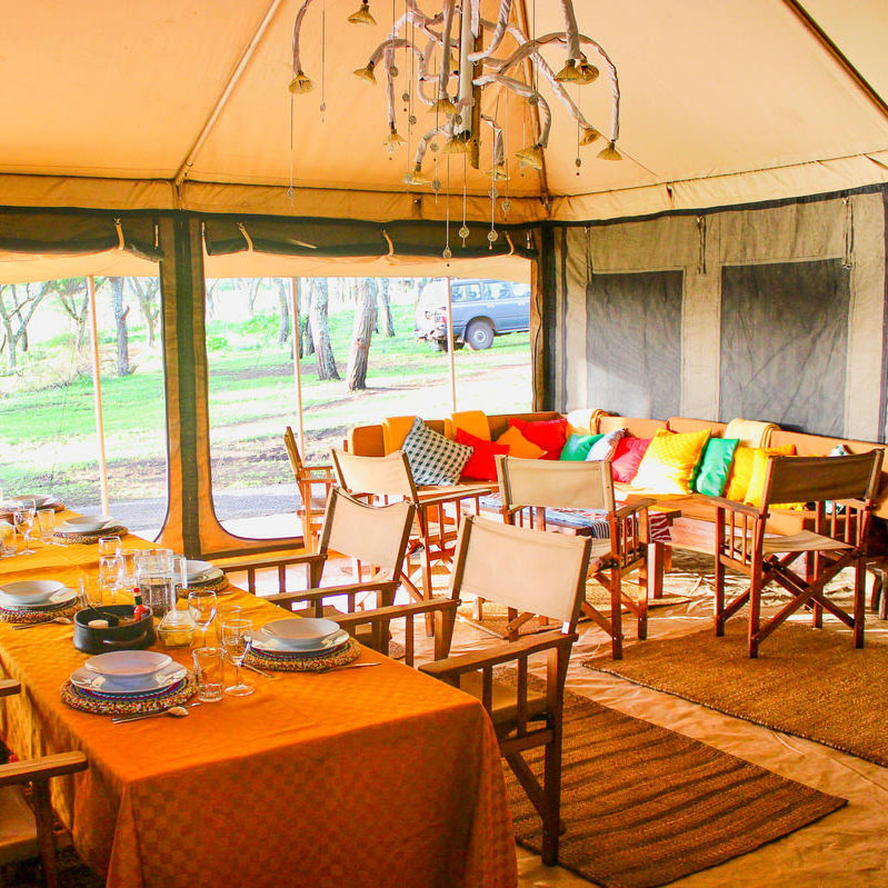 Mysigio Camp