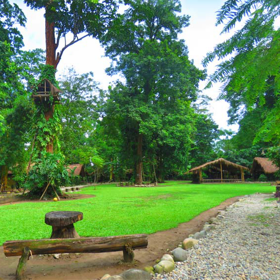 Nameri Baligara Eco Camp