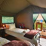 Shamwari - Explorer Camp