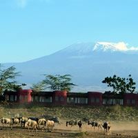 Amboseli Serena