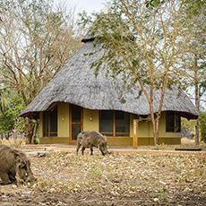 Montebelo Gorongosa