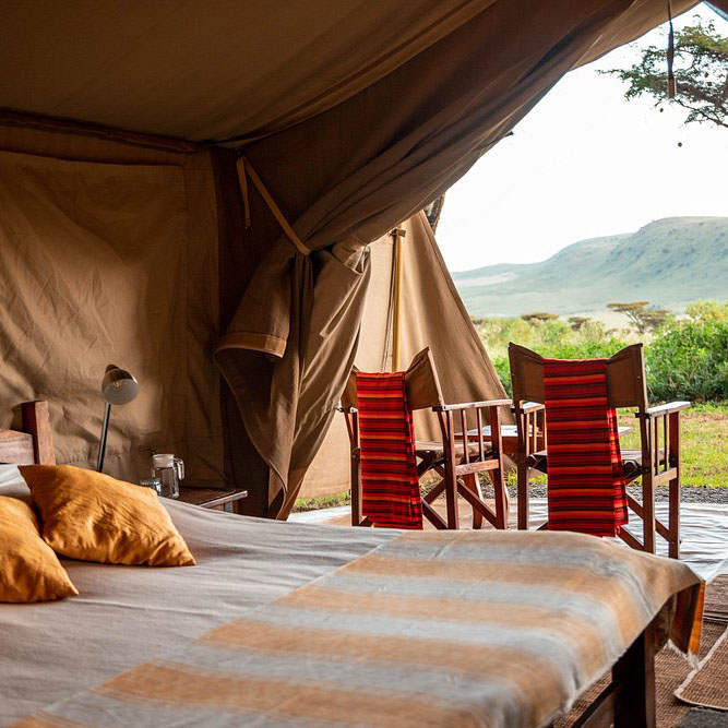 Mysigio Camp