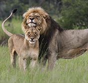 Lake Kariba Zimbabwe Matusadona Safari Holiday Victoria Falls Hwange