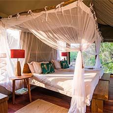 Kaingu Safari Lodge