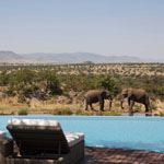 Four Seasons, Serengeti