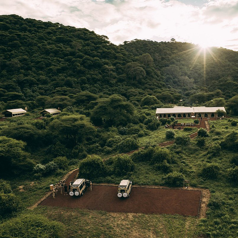 Lake Manyara Tortilis