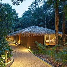 Anavilhanas Jungle Lodge