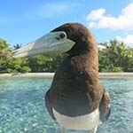 Ecuador Holiday Galapagos Islands Cruise Santa Cruz Finch Bay Diving