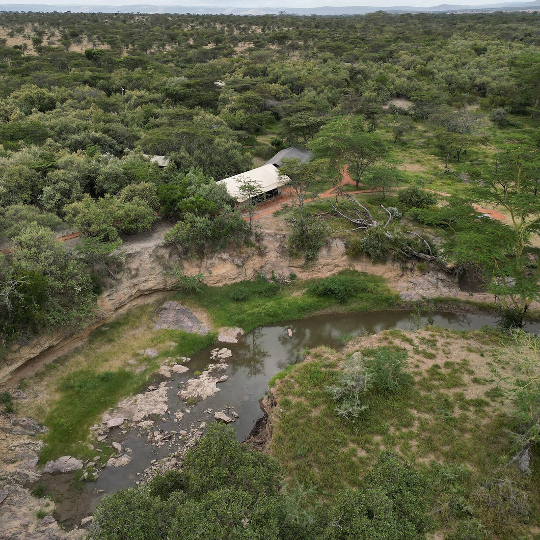 Porini Giraffe Camp