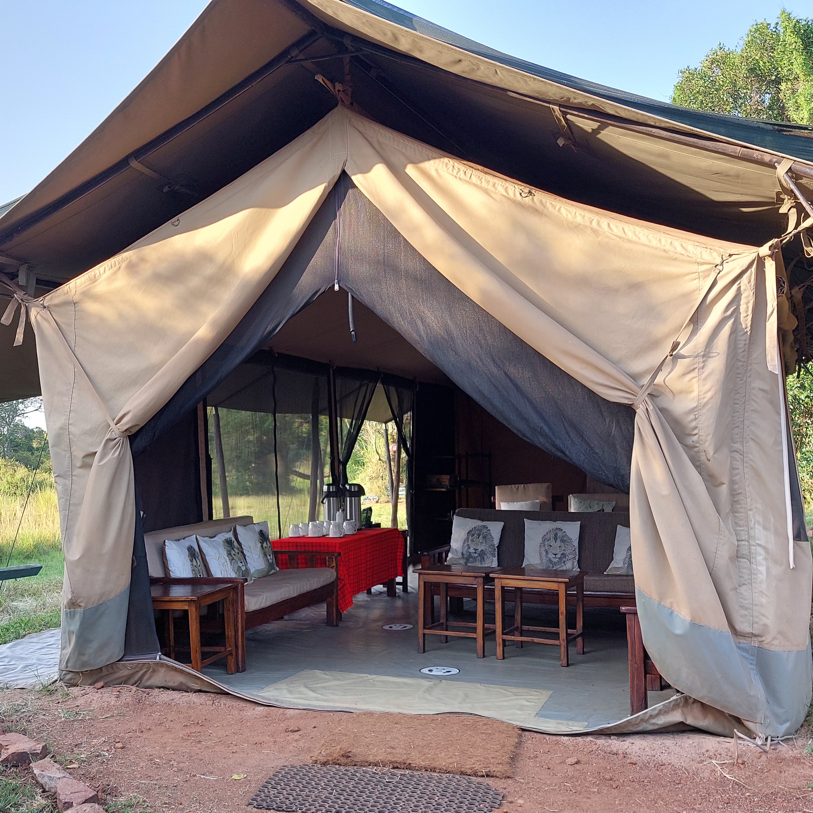 Porini Lion Camp