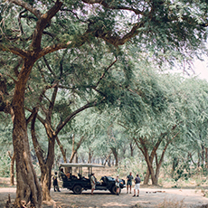 Kutali Camp