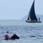 Mozambique Horse Riding Safari Holiday Vilanculos 104 Horses Kruger Park