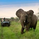 Luxury Beach Safari South Africa Phinda Zululand Oyster Box Durban