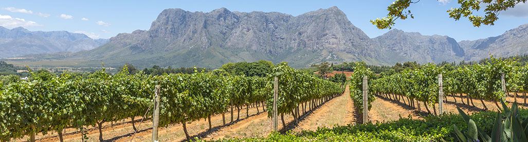 Cape Town Winelands Safari Holidays South Africa Tours Argentina Chile Uruguay Wine