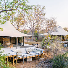 Saseka, Thornybush