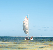 Kenya Diani Beach Holidays All Inclusive Resorts Safari Packages Mombasa